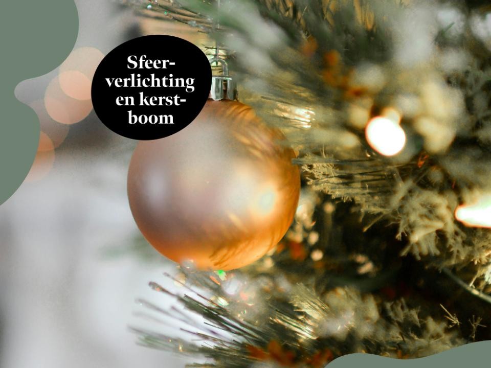 Het Musiskwartier straalt