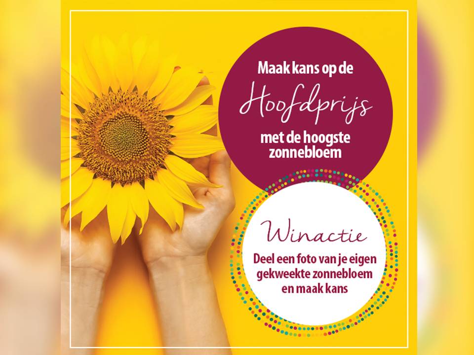 Fijn dat je er weer bent! - Musiskwartier